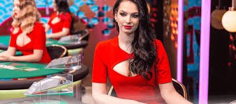 6878bet com